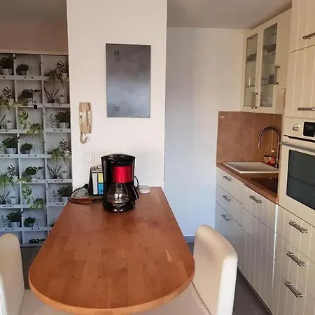 Centre-ville Du Lavandou 350 M De La