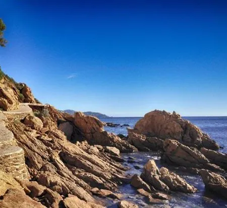 Centre-ville Du Lavandou 350 M De La 公寓