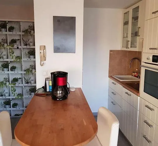 Centre-ville Du Lavandou 350 M De La