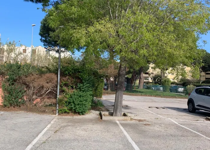 Centre-ville Du Lavandou 350 M De La Le Lavandou