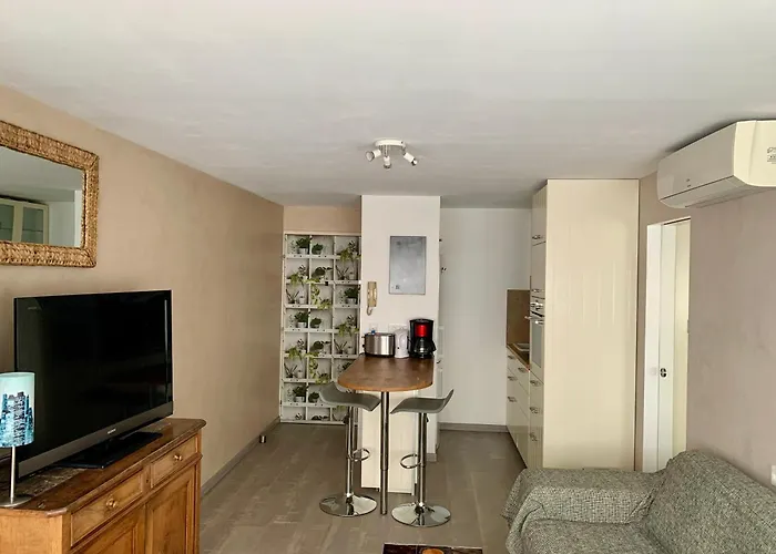 Centre-ville Du Lavandou 350 M De La Apartment